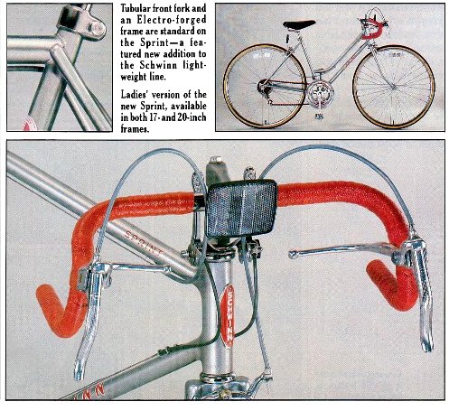 1981 schwinn 29