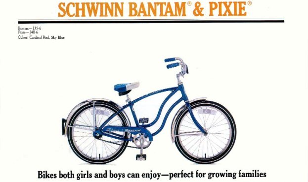 1981 schwinn bantam